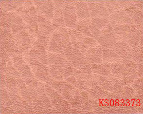 Train leather KS083373